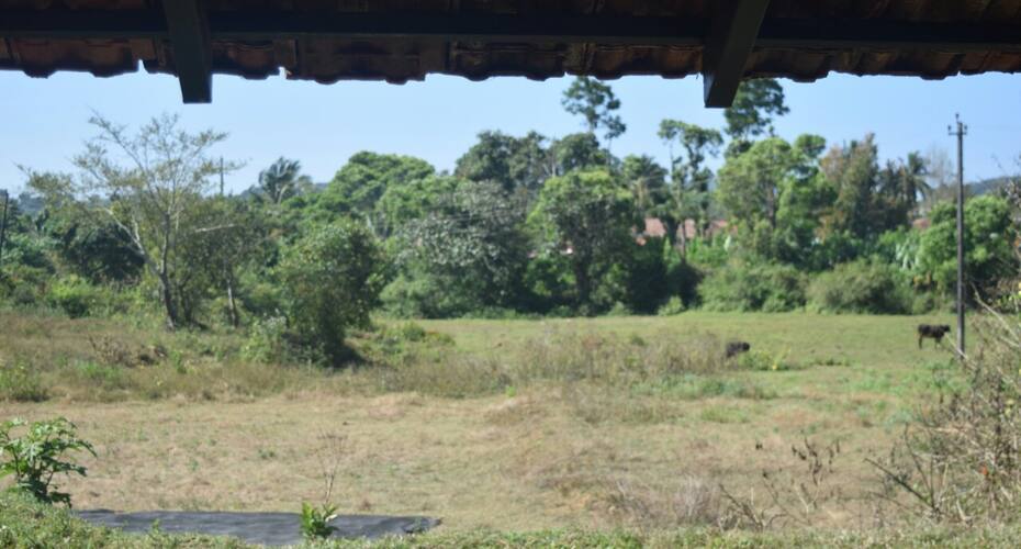 The Misty Miracles, Kodagu, Coorg 4